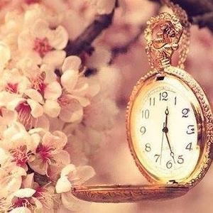 Meet your Posher, Luu